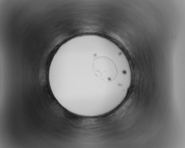X0000094941211200712271606