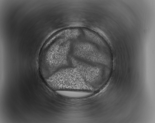X0000094941212200712271606