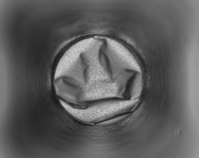 X0000094941214200712271606
