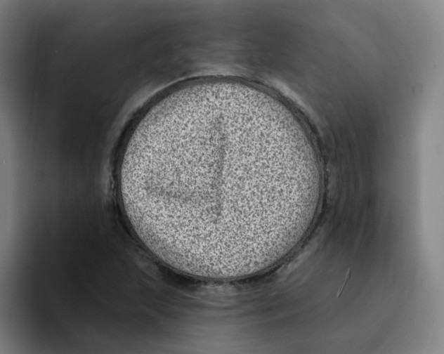 X0000094941215200712271606