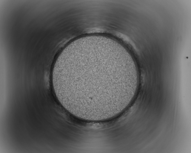 X0000094941217200712271606