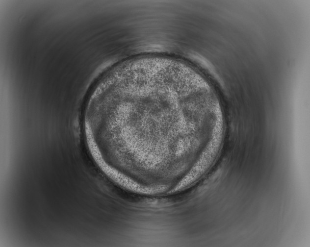 X0000094941218200712271606