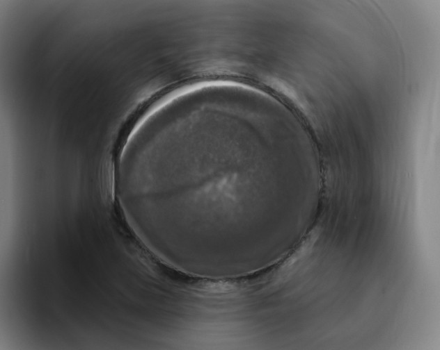 X0000094941219200712271606