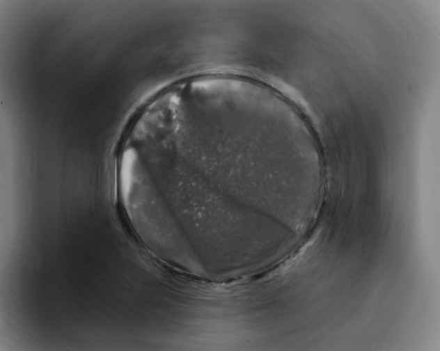 X0000094941223200712271606