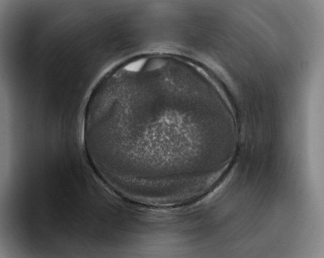 X0000094941224200712271606