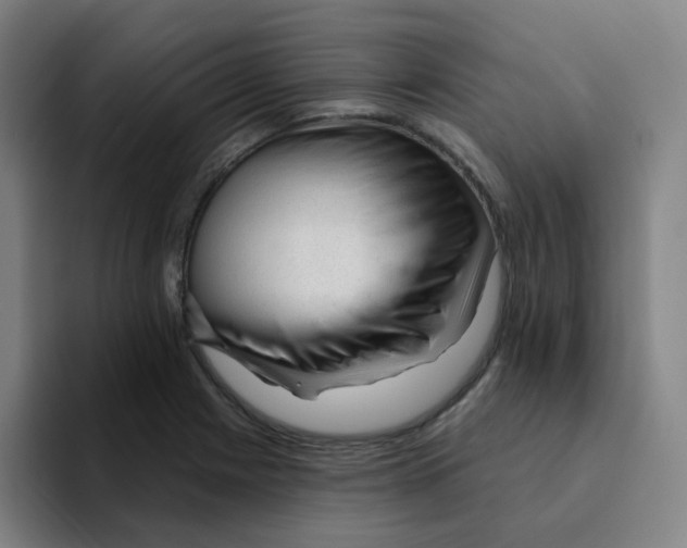 X0000094941225200712271606