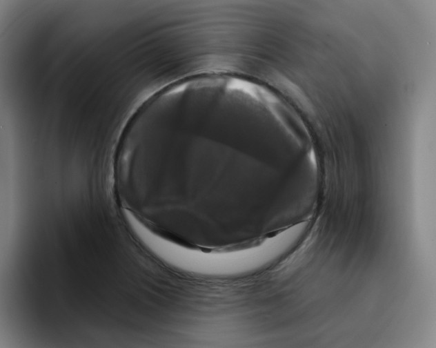 X0000094941226200712271606
