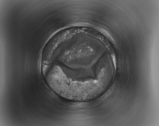 X0000094941228200712271606