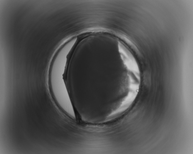 X0000094941229200712271606