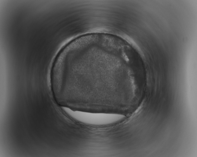 X0000094941230200712271606