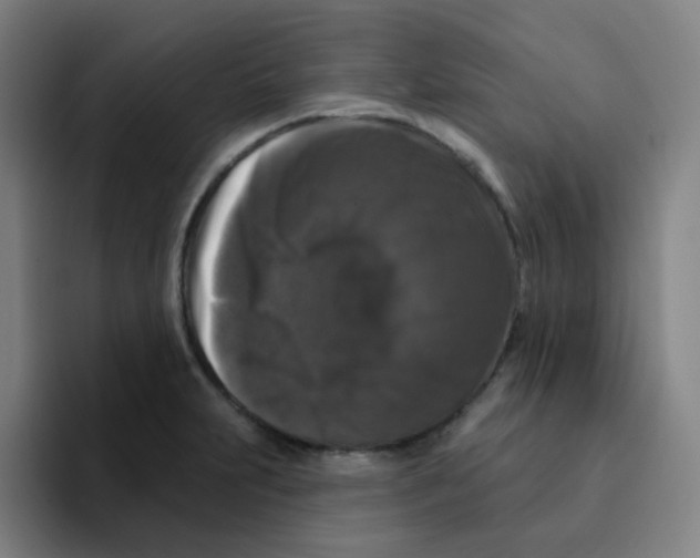 X0000094941231200712271606