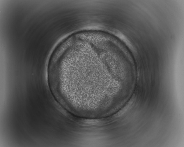 X0000094941232200712271606