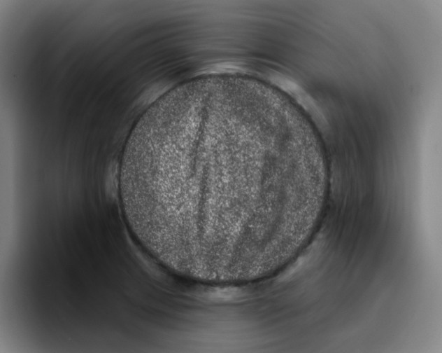 X0000094941233200712271606