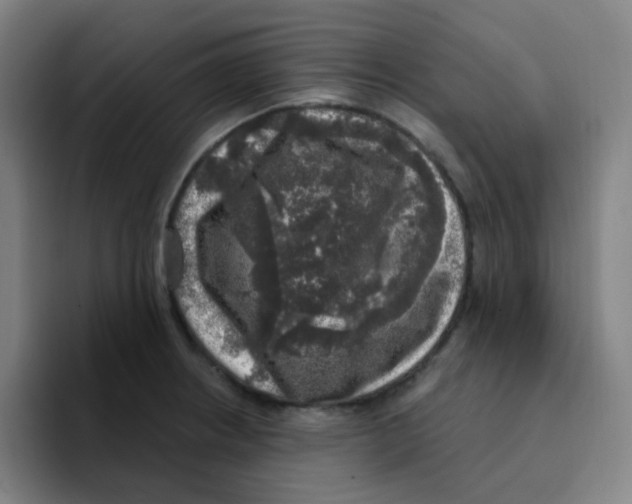 X0000094941234200712271606