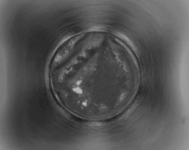 X0000094941235200712271606