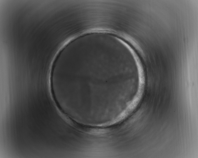 X0000094941237200712271606