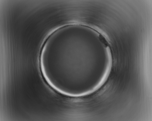X0000094941239200712271606