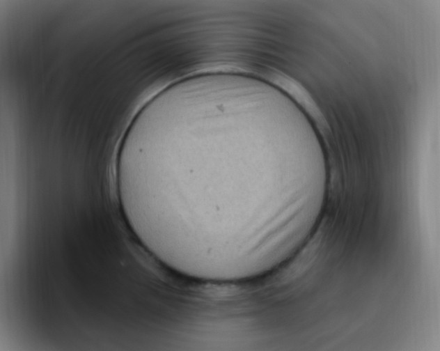 X0000094941242200712271606