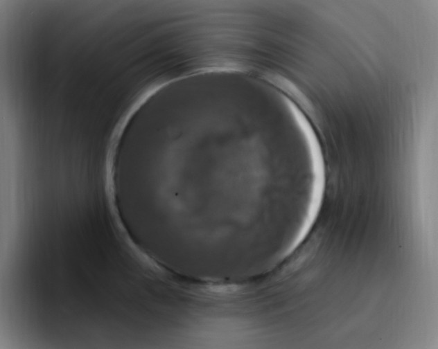 X0000094941243200712271606