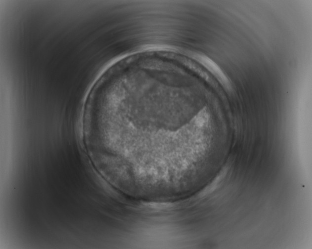 X0000094941244200712271606