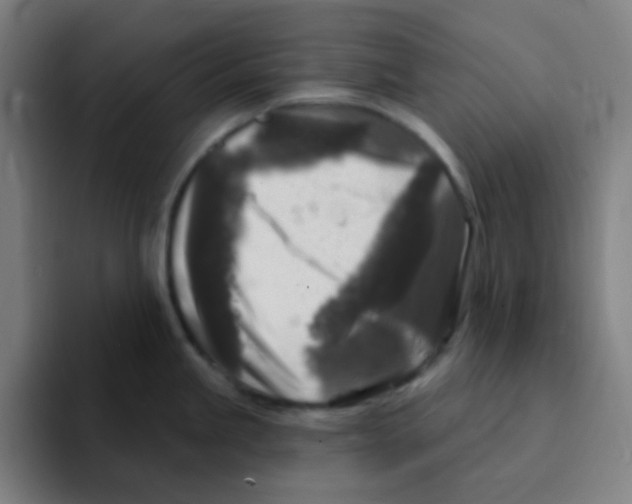 X0000094941245200712271606