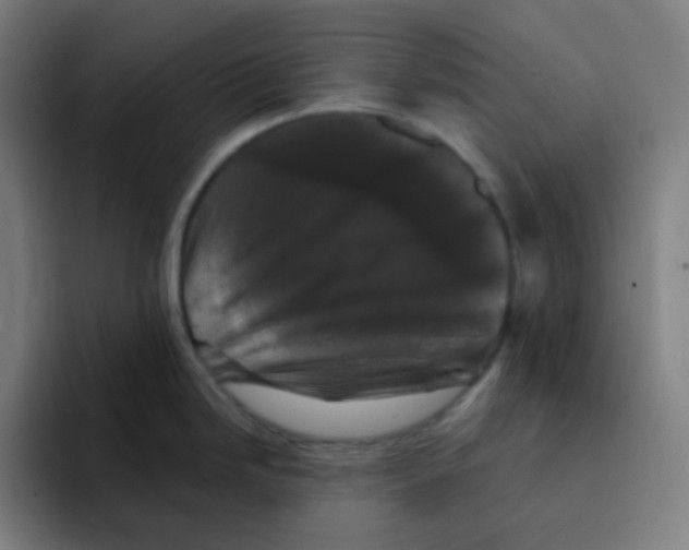 X0000094941246200712271606