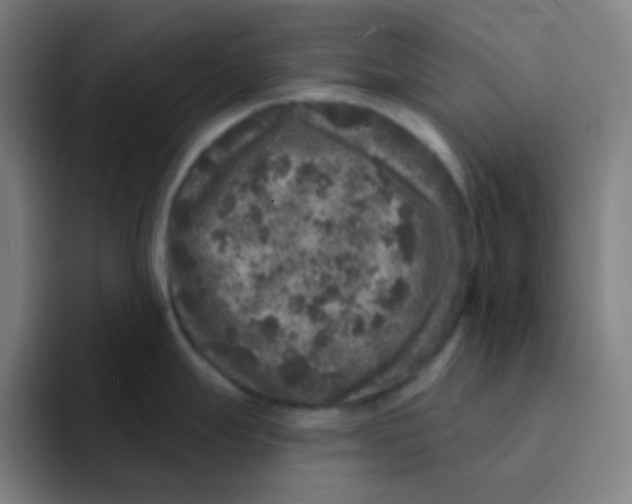 X0000094941247200712271606