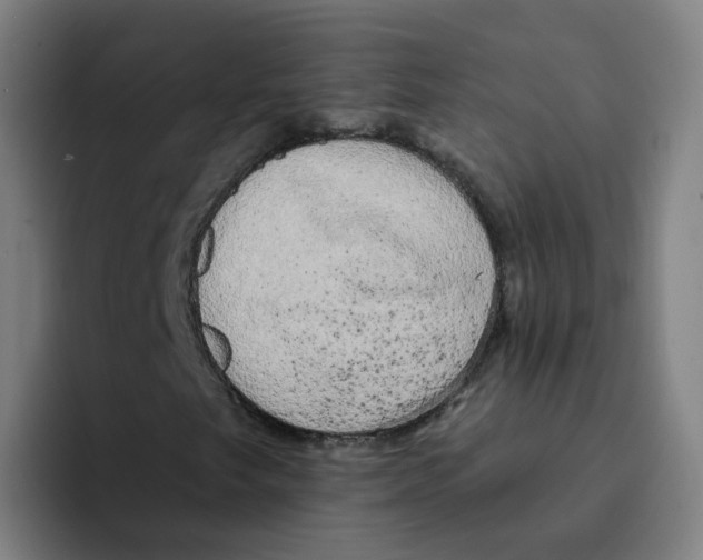 X0000094941249200712271606