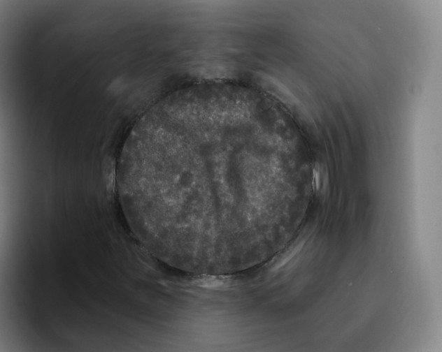X0000094941251200712271606