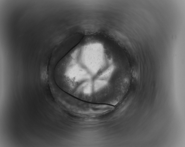 X0000094941252200712271606