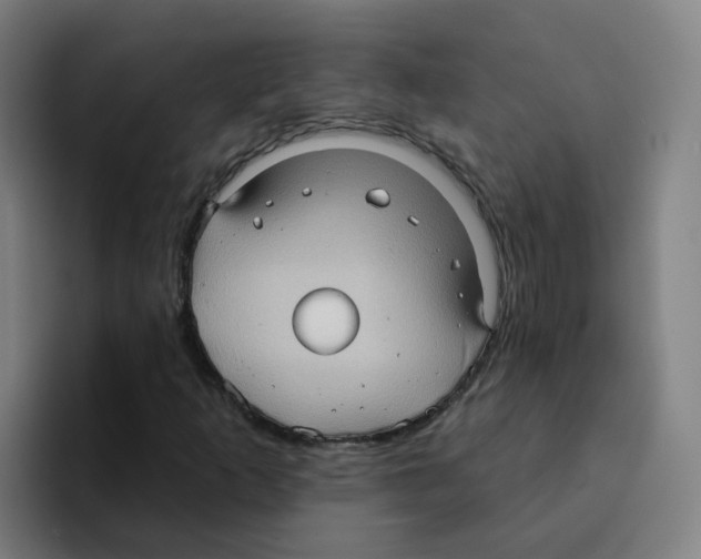 X0000094941253200712271606