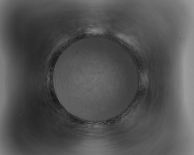 X0000094941254200712271606