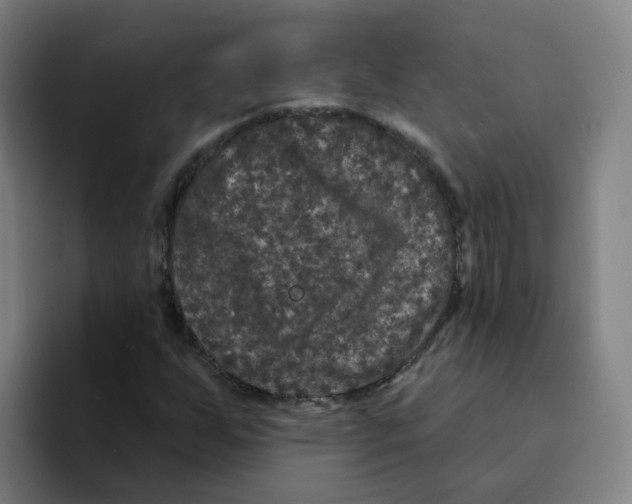 X0000094941255200712271606