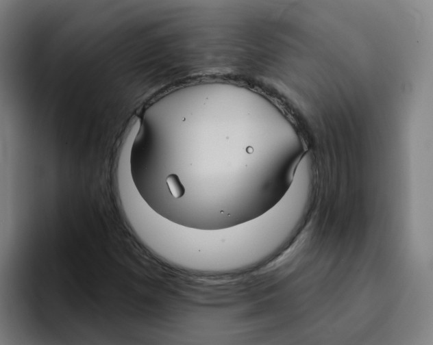 X0000094941257200712271606