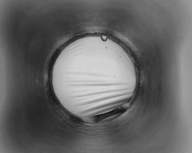 X0000094941261200712271606