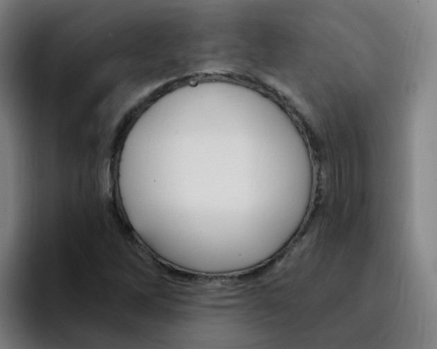 X0000094941262200712271605