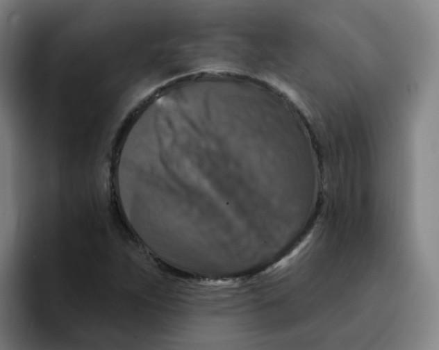 X0000094941263200712271605