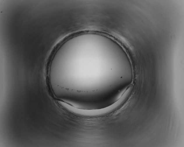 X0000094941264200712271605