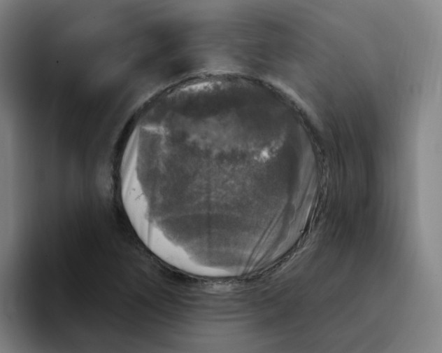 X0000094941266200712271605