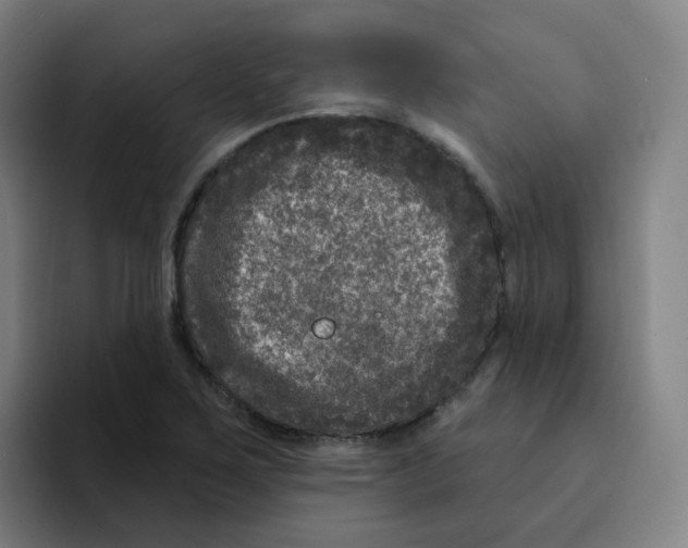 X0000094941267200712271605