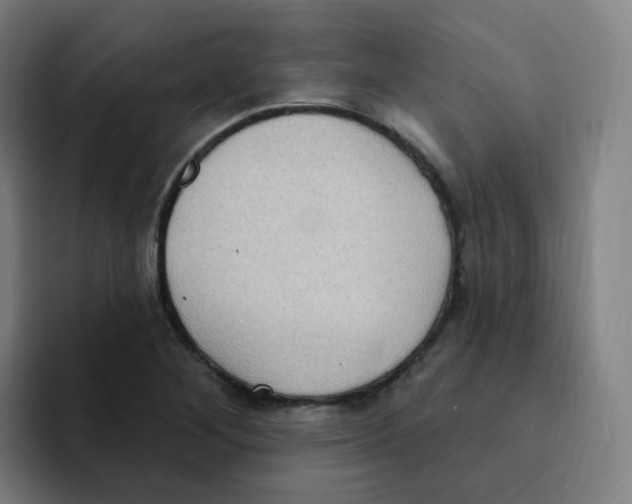 X0000094941268200712271605