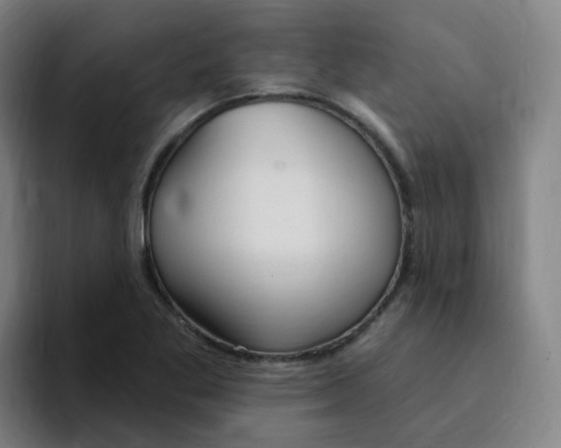 X0000094941269200712271605