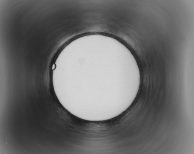 X0000094941270200712271605