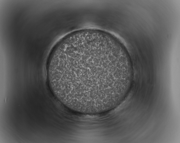 X0000094941271200712271605
