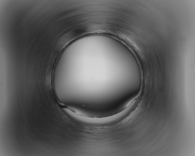 X0000094941273200712271605