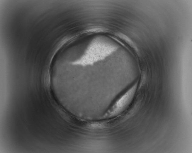 X0000094941274200712271605