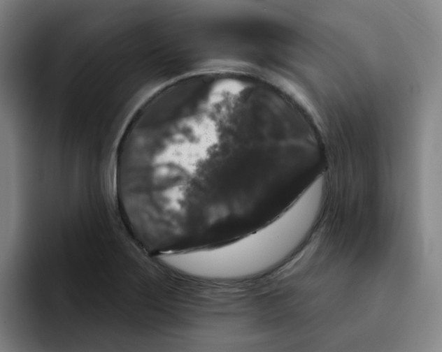 X0000094941275200712271605