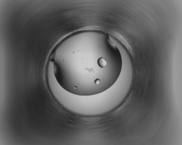 X0000094941276200712271605