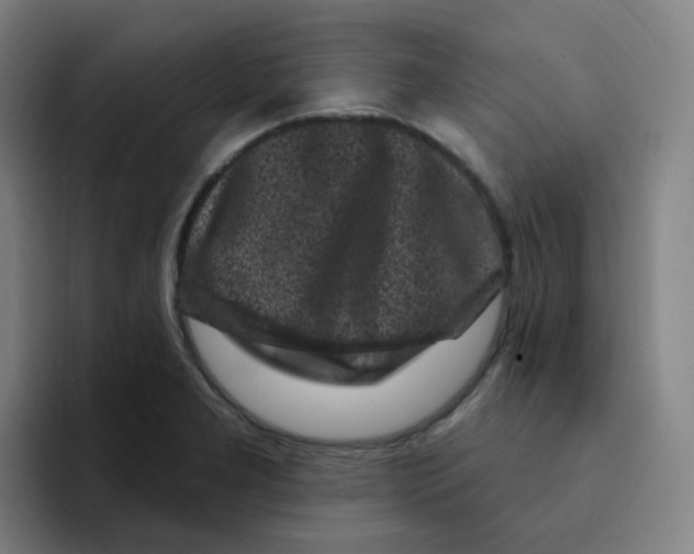 X0000094941277200712271605
