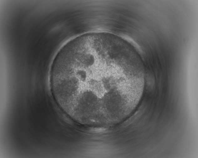 X0000094941278200712271605